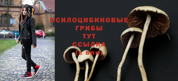 гидропоника Баксан