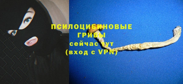 мет Балахна