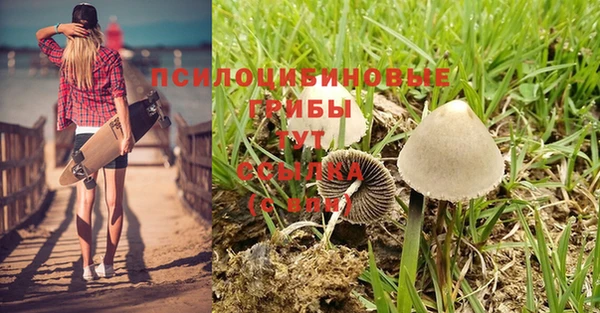 гидра Балабаново