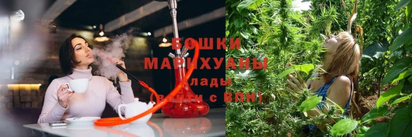 гидра Балабаново