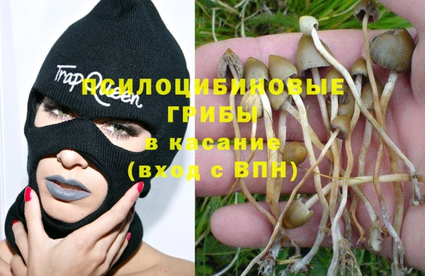 мет Балахна