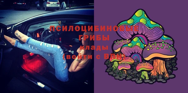 гидра Балабаново